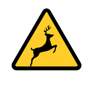 Warning Signs