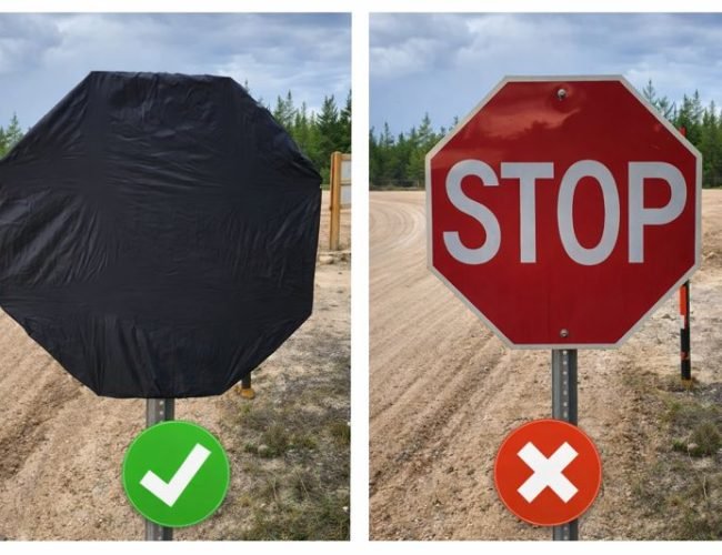 ChatGPT Image Jan 30, 2026, 11_07_06 AM